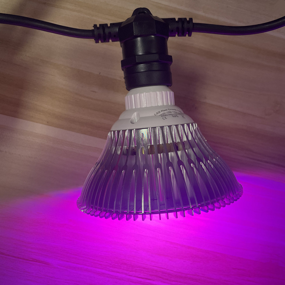 Cavo LED da 10 m, impermeabile - String Light Outdoor recensione e prezzo
